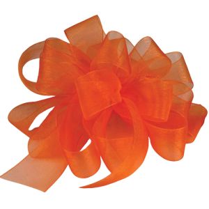 #9 Simply Sheer Ribbon 100 Yards in Tropical Orange - Small Image