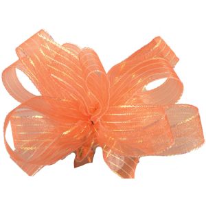 Striped Chiffon Ribbon 50 Yards in Peach/Coral - Small Image