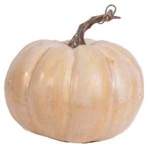 Pumpkin 6x5.5