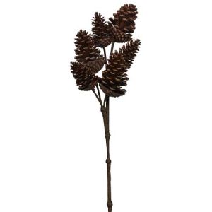 Pine Cone Spray x2, 32