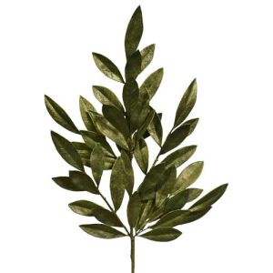 Bay Leaf Spray 24