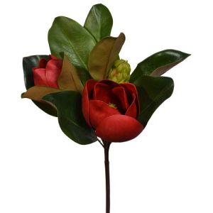 Magnolia Spray 17