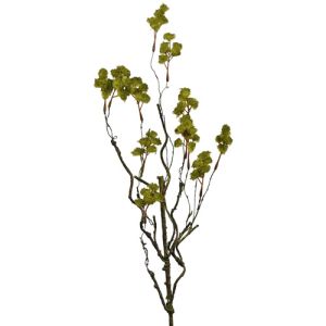 Irish Moss Spray 23