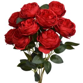 Cabbage Rose Bush x9, 17.5" - Red