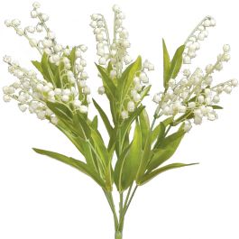 Lily of the Valley Bush x7, 17