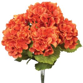 Hydrangea Bush x5, 17