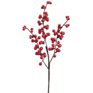 Waterproof Berry Spray 16
